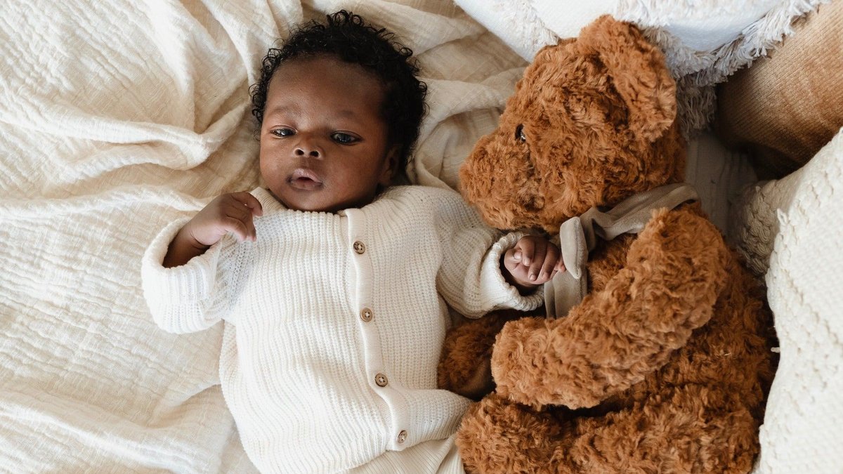 Birth Bear
